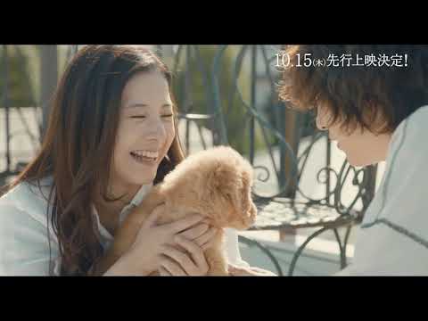 映画『きみの瞳(め)が問いかけている』コメント動画