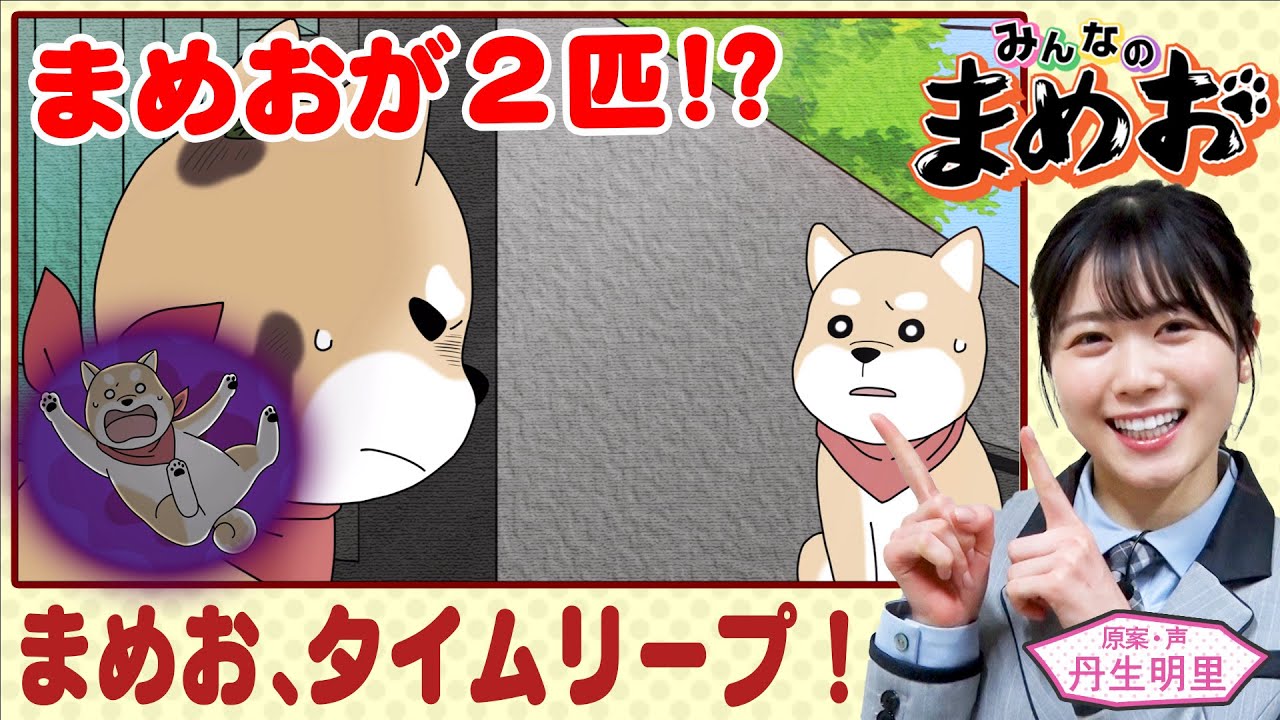 【まめお、タイムリープ】声優・日向坂46丹生明里!まめおが2人!まさかのタイムリープで、ポニちゃんも困惑!【”みんなのまめお” 全話フル公開Part14】