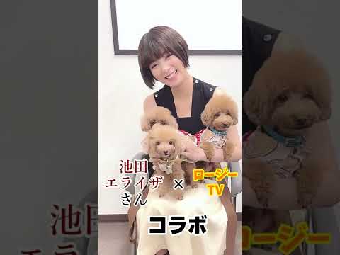 池田エライザさんxロージーTVコラボ撮影!【コラボ】 #shorts