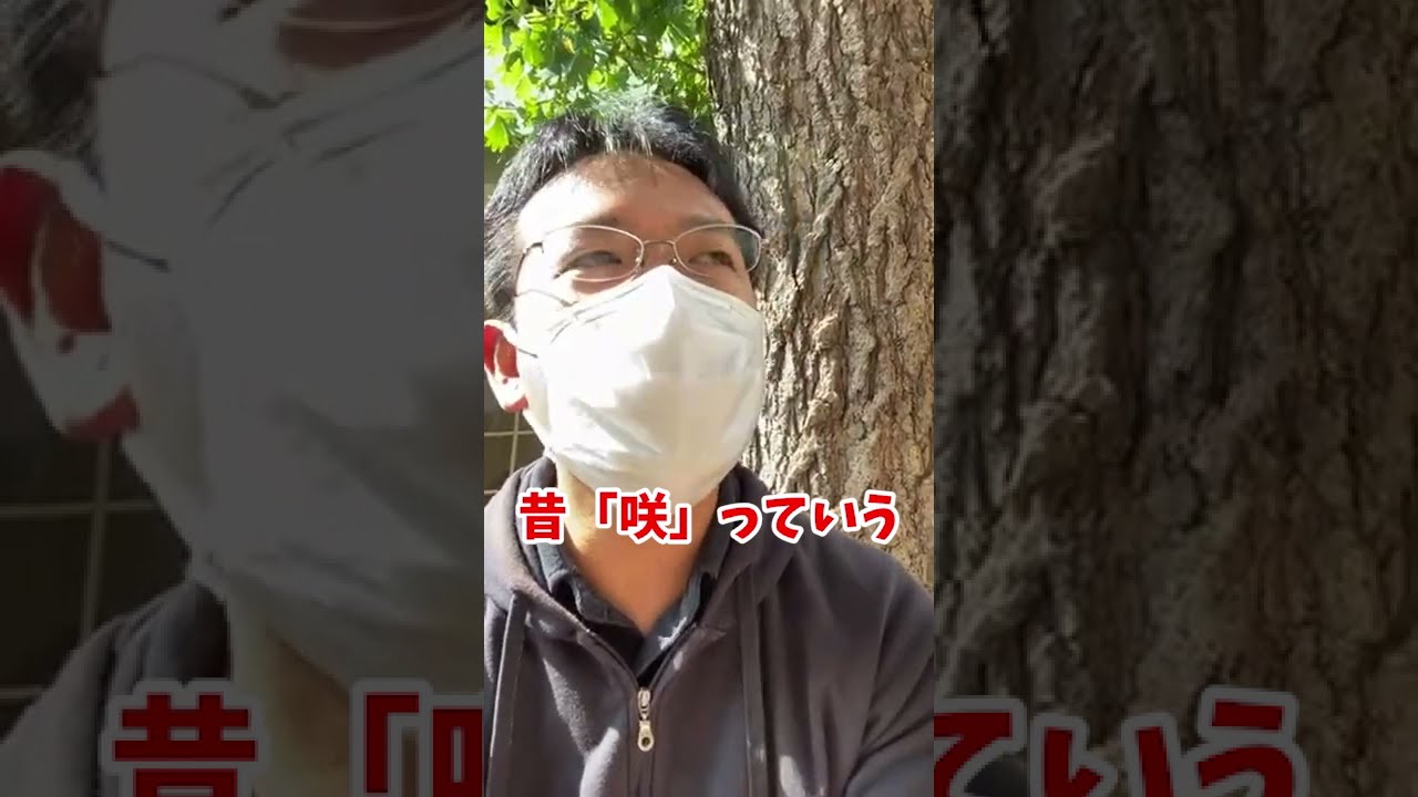 マックスむらいが浜辺美波さんにフォローされている理由 #shorts