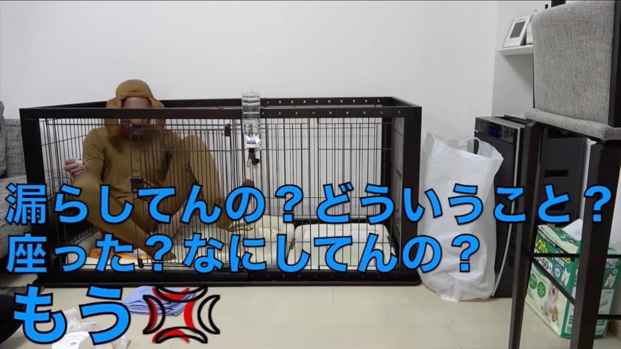 【理不尽】りょうくん面白ブチギレ集【東海オンエア】