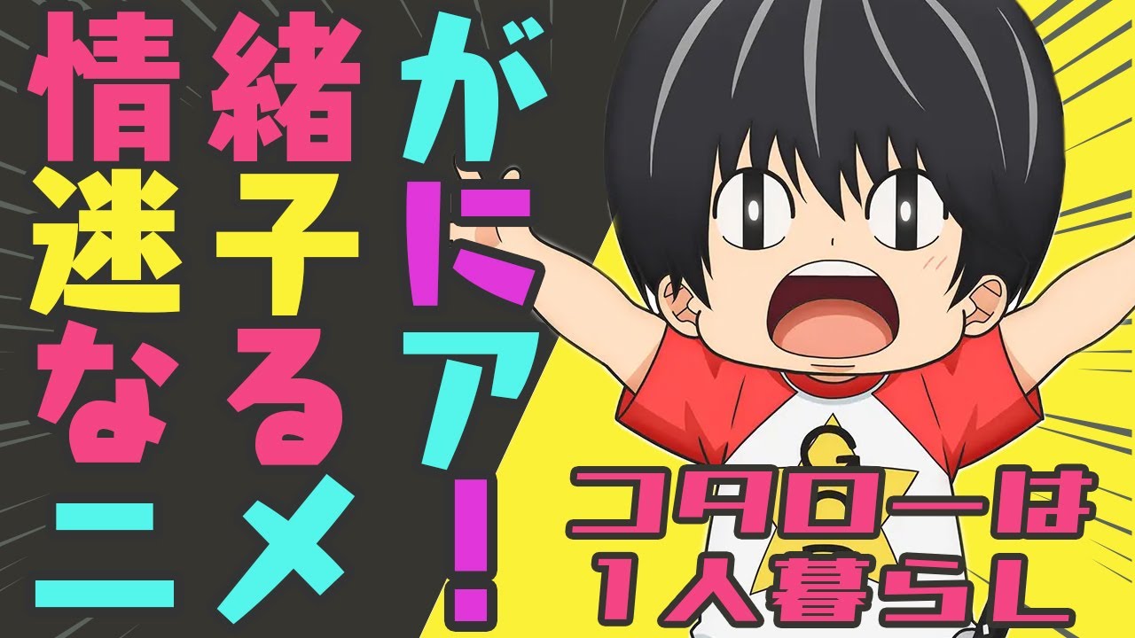 笑えて泣けて楽しくて切ないアニメ!コタローは1人暮らしを全力紹介!