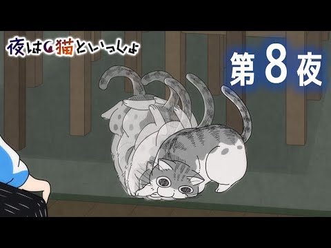 アニメ『夜は猫といっしょ』 第8夜 「ネコの動画うまく撮れない」