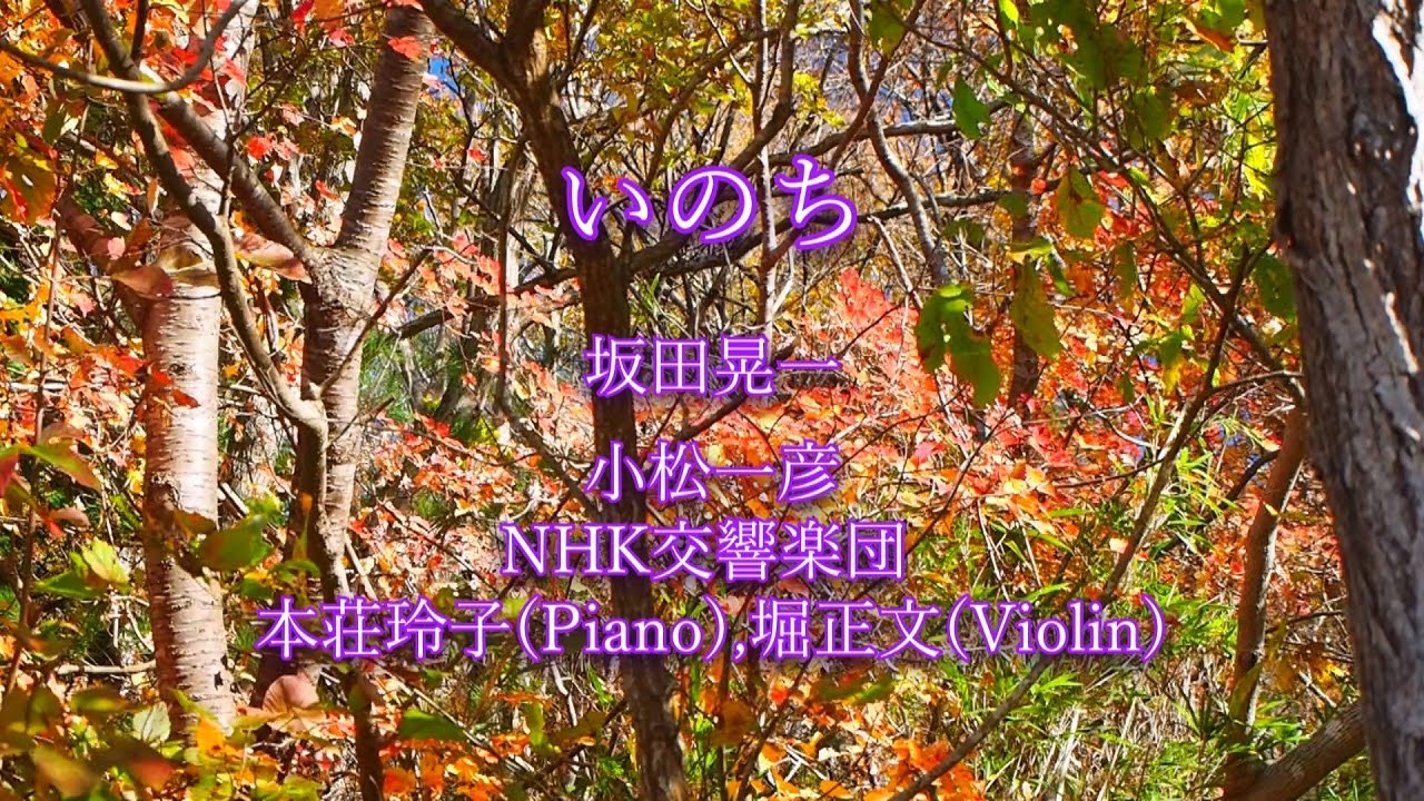 【NHK大河ドラマ】(1986年) いのち,坂田晃一,小松一彦,NHK交響楽団,本荘玲子(Piano),堀正文(Violin) YAYAFA