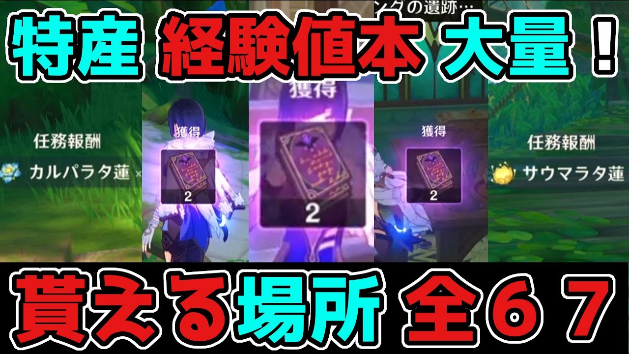 【原神】3.0スメールのNPCで特産や経験値本が「無料で」貰える全場所まとめ!げんしん【攻略解説】