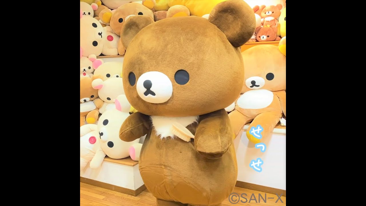 【チャイロイコグマ動画】守りたい、この胸毛。 #shorts #リラックマ #チャイロイコグマ