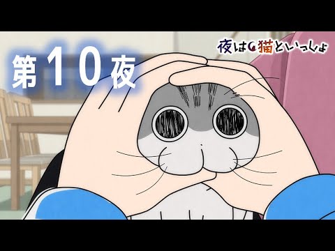 アニメ『夜は猫といっしょ』第10夜「ネコのずつき攻撃」