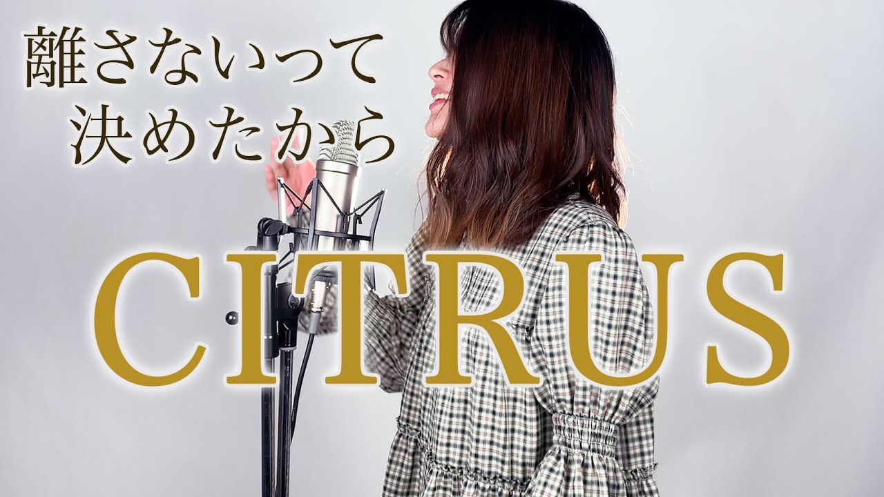 【 女性が歌う 】「CITRUS」シトラス 歌ってみた ( +2 / Da-iCE / 女性キー 日本テレビ系日曜ドラマ「極主夫道」主題歌 / あやめろカバー )