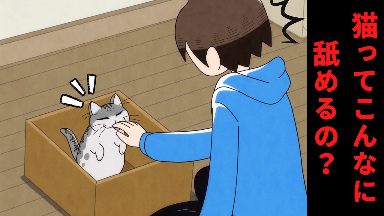 夜は猫といっしょ まったり#1 猫が家にやってきたよ!【さくっと見れるショートアニメ】