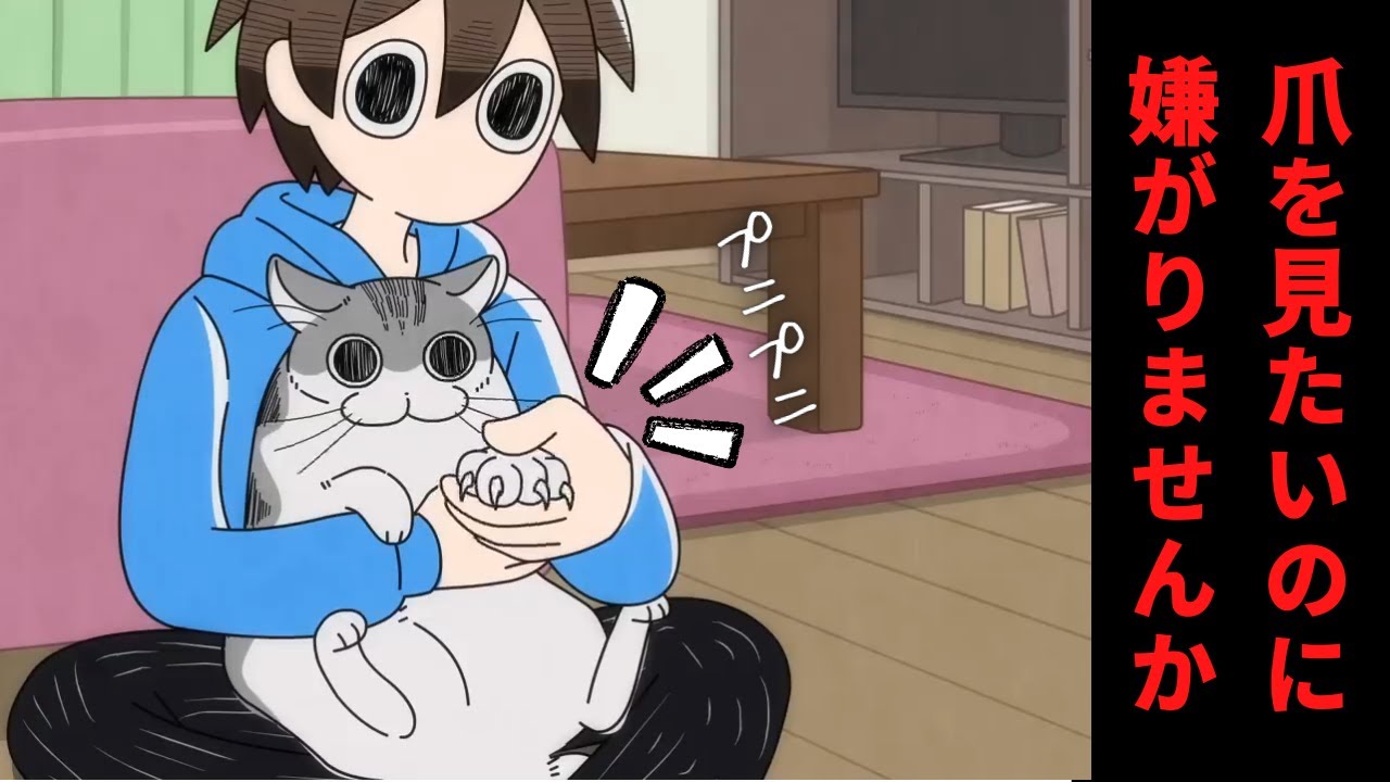 夜は猫といっしょ まったり#5 猫ってなかなか爪を見せてくれませんよね。【さくっと見れるショートアニメ】