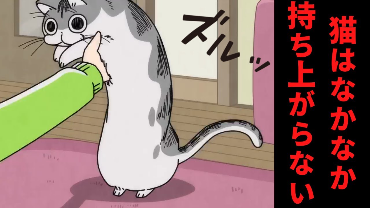 夜は猫といっしょ まったり#9 猫って片手じゃ持ち上げられないですよね。【さくっと見れるショートアニメ】