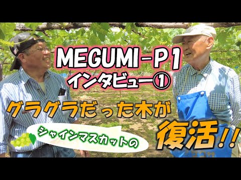 MEGUMI-P1インタビュー① シャインマスカットのグラグラだった木が復活!!