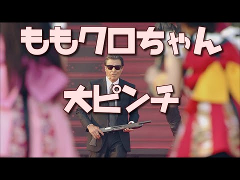 これ、ライブ中! ももクロ 最大級の茶番劇が 舘ひろし も巻き込んでやり過ぎだった。