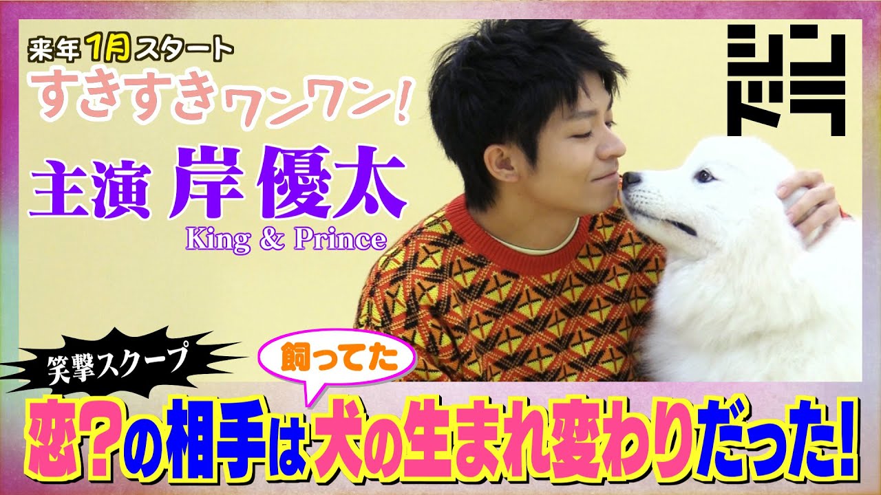 岸優太(King & Prince)が元愛犬で人間の生まれ変わりと恋に落ちる!?2023年1月スタート『すきすきワンワン!』スペシャルメッセージ!/日本テレビ「シンドラ」