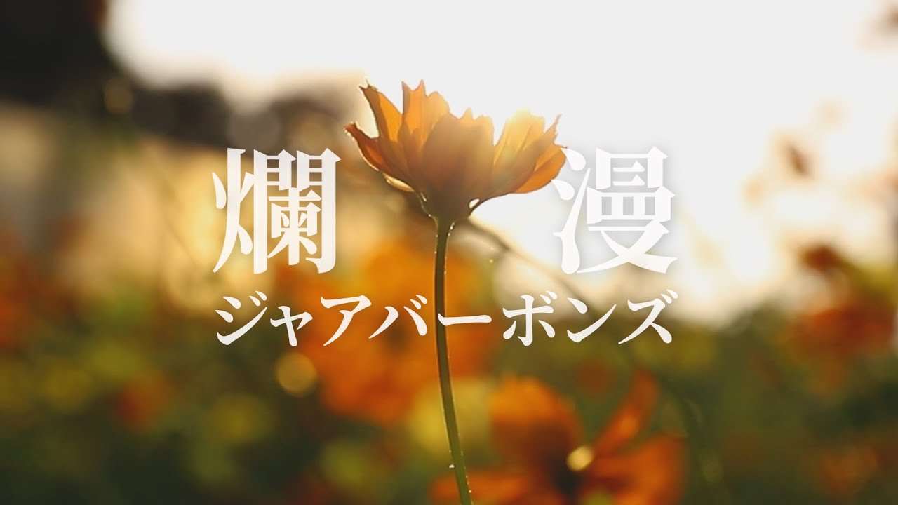 【爛漫】 MV / ジャアバーボンズ(JaaBourBonz)