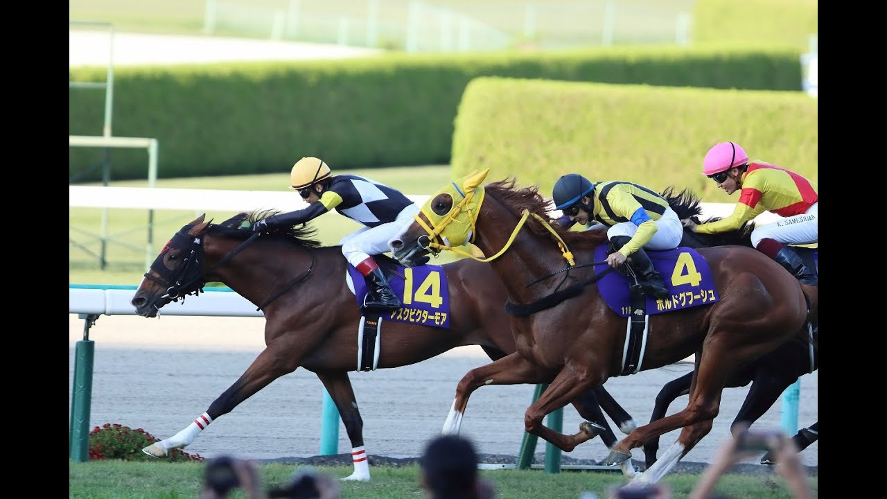 2022年菊花賞ファンファーレ(陸上自衛隊第三音楽隊)