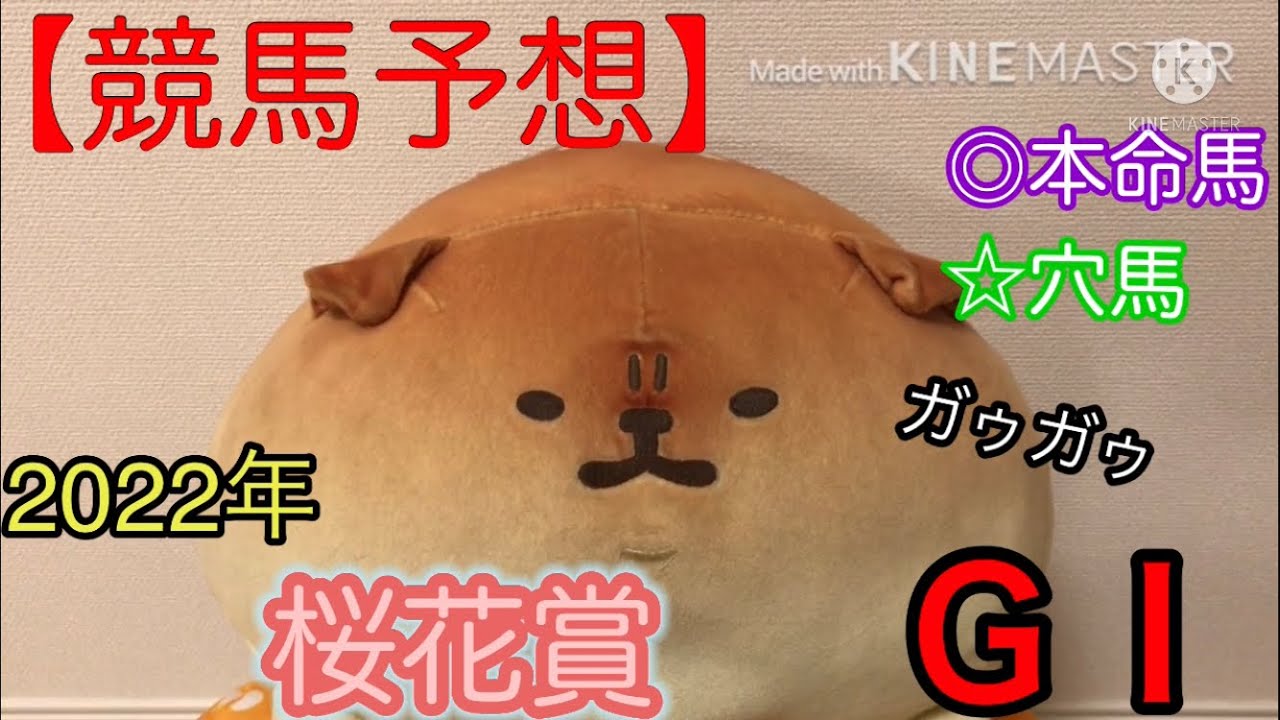 桜花賞2022【競馬予想】参考レース前追い切りで本命馬と穴馬結論!過去レース結果