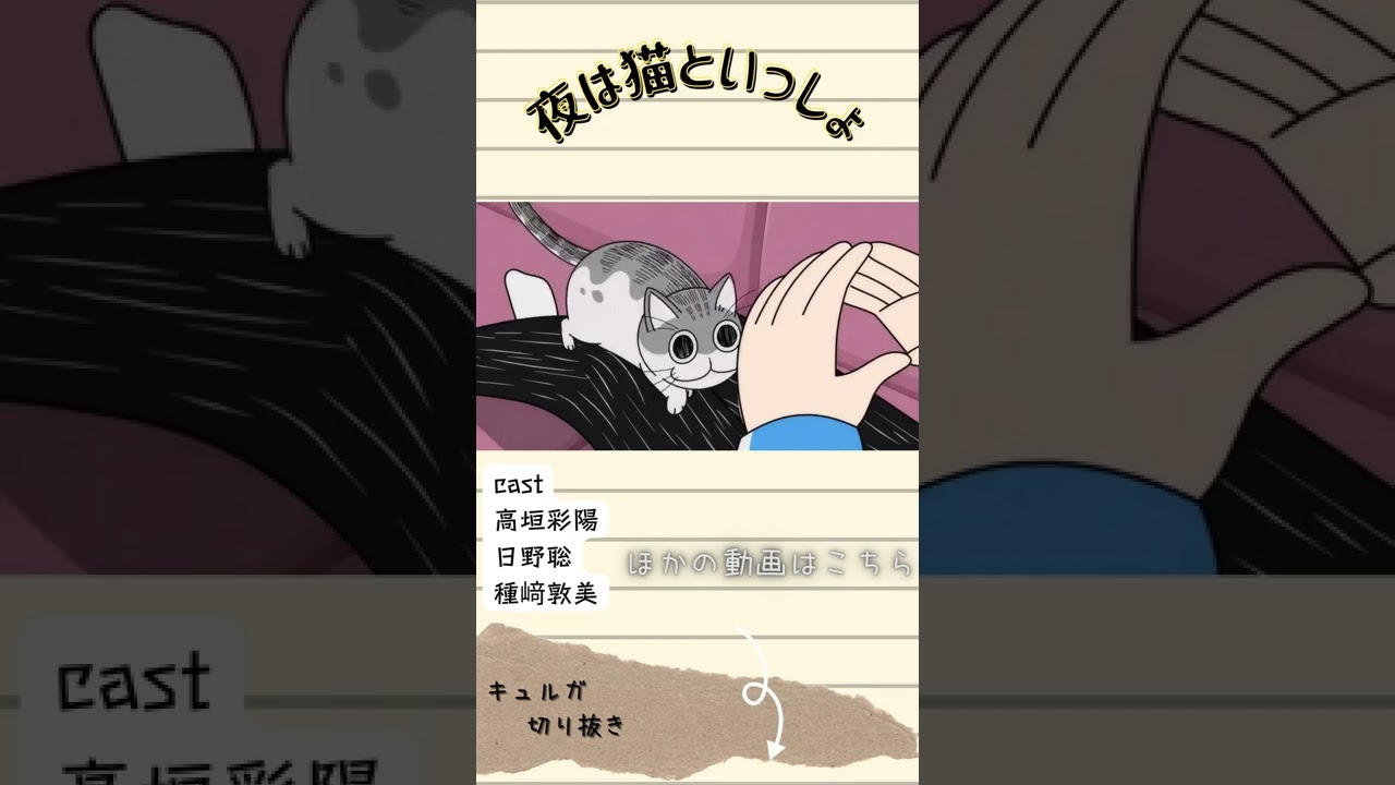 #short #shorts #キュルガ #夜は猫といっしょ #猫 #猫動画