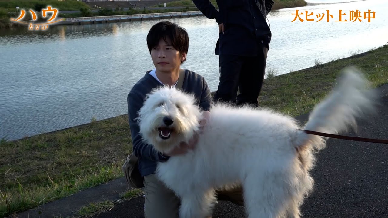 田中圭、俳優犬・ベックと本番中に突然キス!?可愛すぎるNGシーン公開! 映画『ハウ』オフショット映像