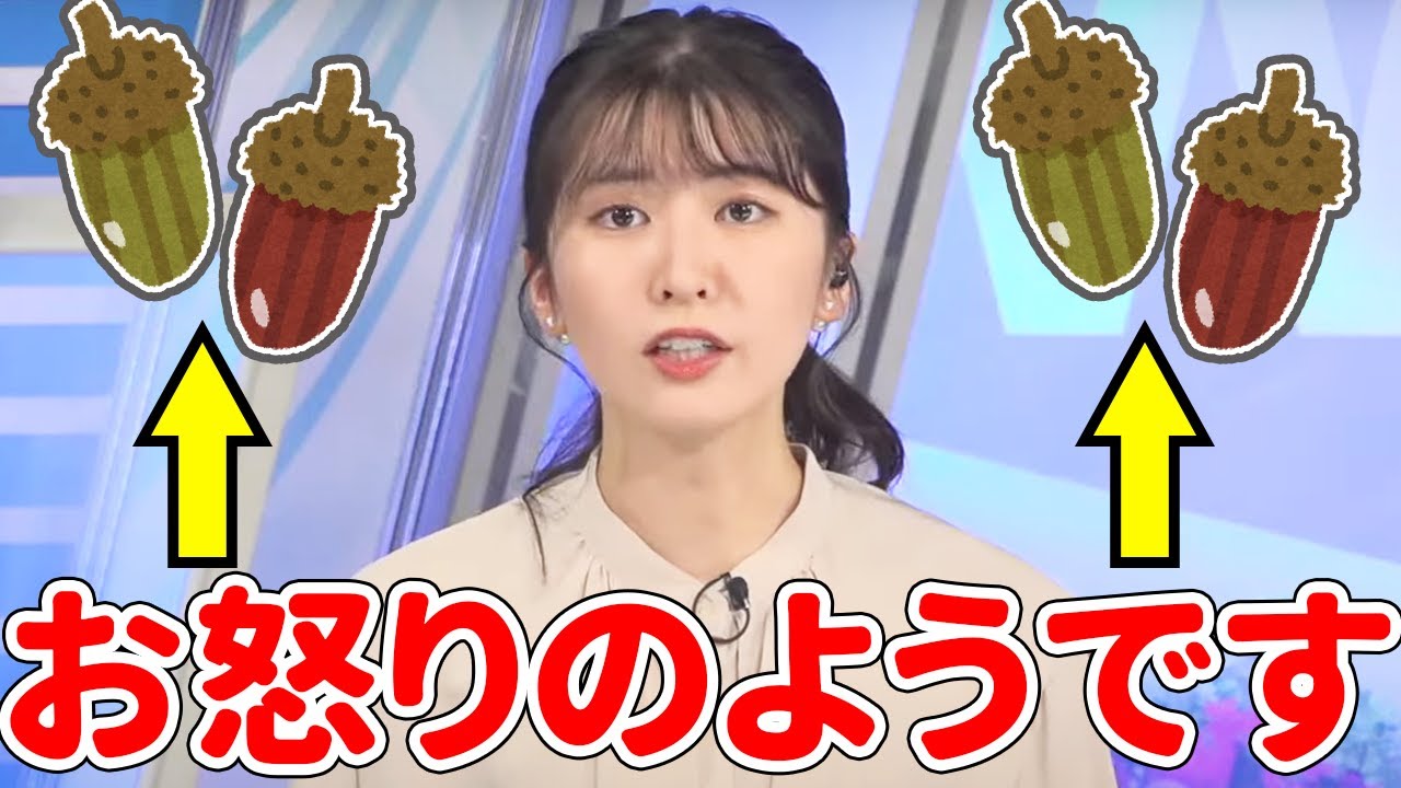 【駒木結衣】誤ったどんぐり知識を披露し、おこゆい【ウェザーニュース切り抜き】