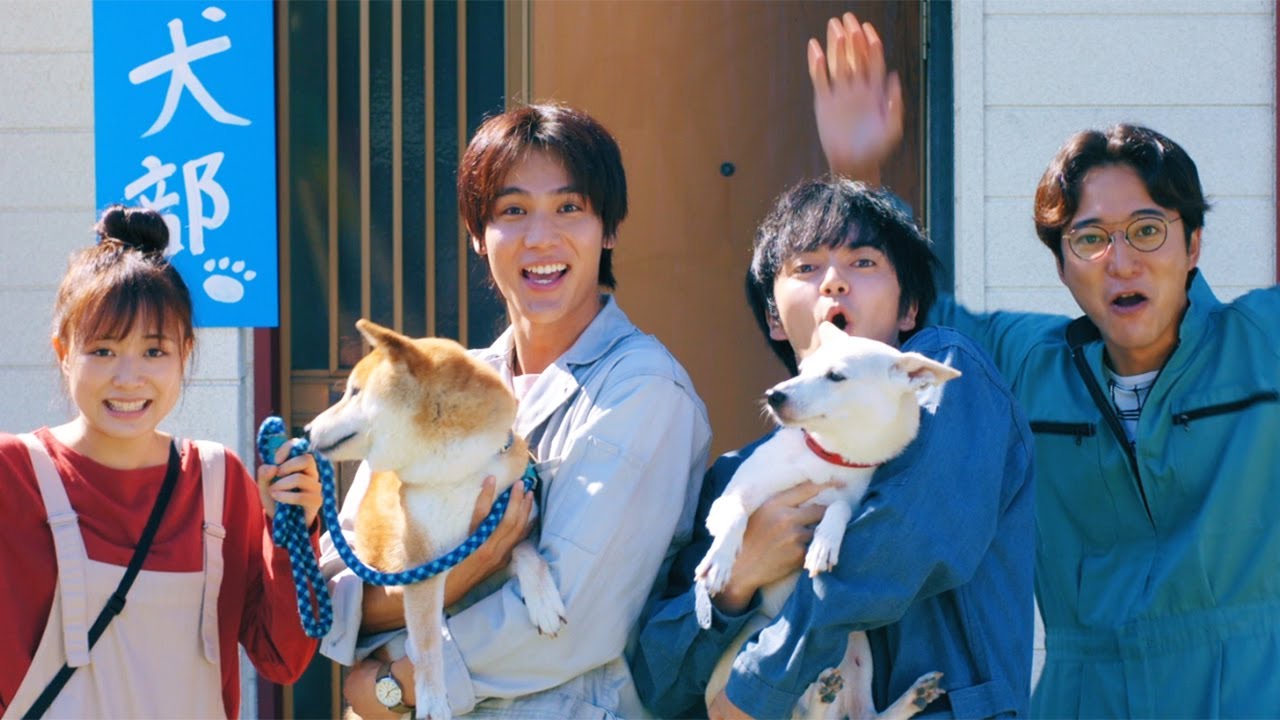 林遣都、動物保護に人生懸ける 相棒・中川大志の涙を流す姿も 「Novelbright」が主題歌担当 映画「犬部!」予告映像