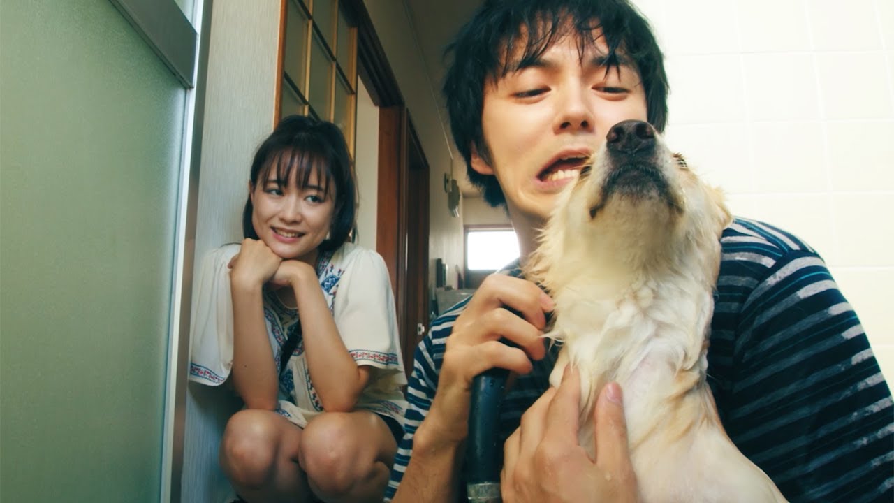 林遣都「子ども待ってるから!」と帰宅急ぐ “デレデレっぷり”も 映画「犬部!」本編冒頭8分公開