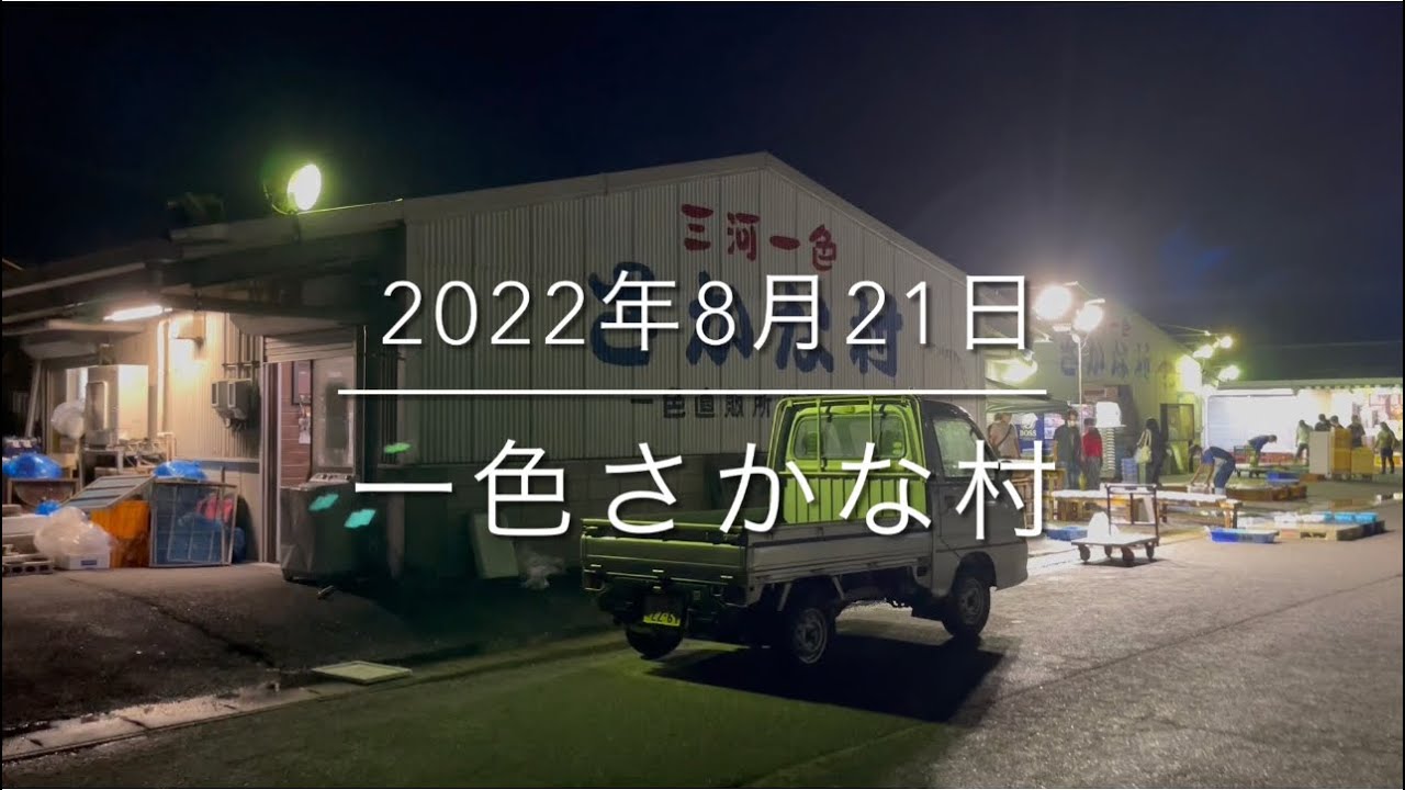【恐怖の朝市】極上メカジキ販売⁉︎『一色さかな村』衝撃的光景