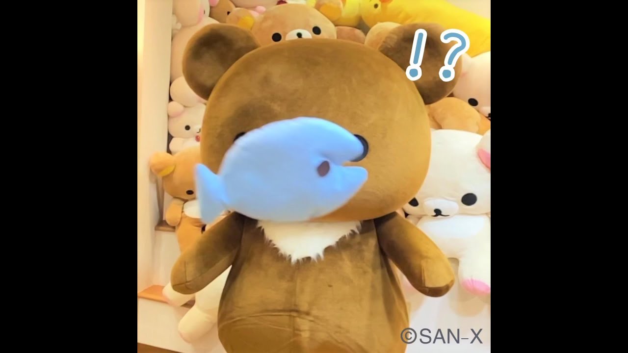 【チャイロイコグマ動画】横から…!? #shorts #リラックマ #チャイロイコグマ