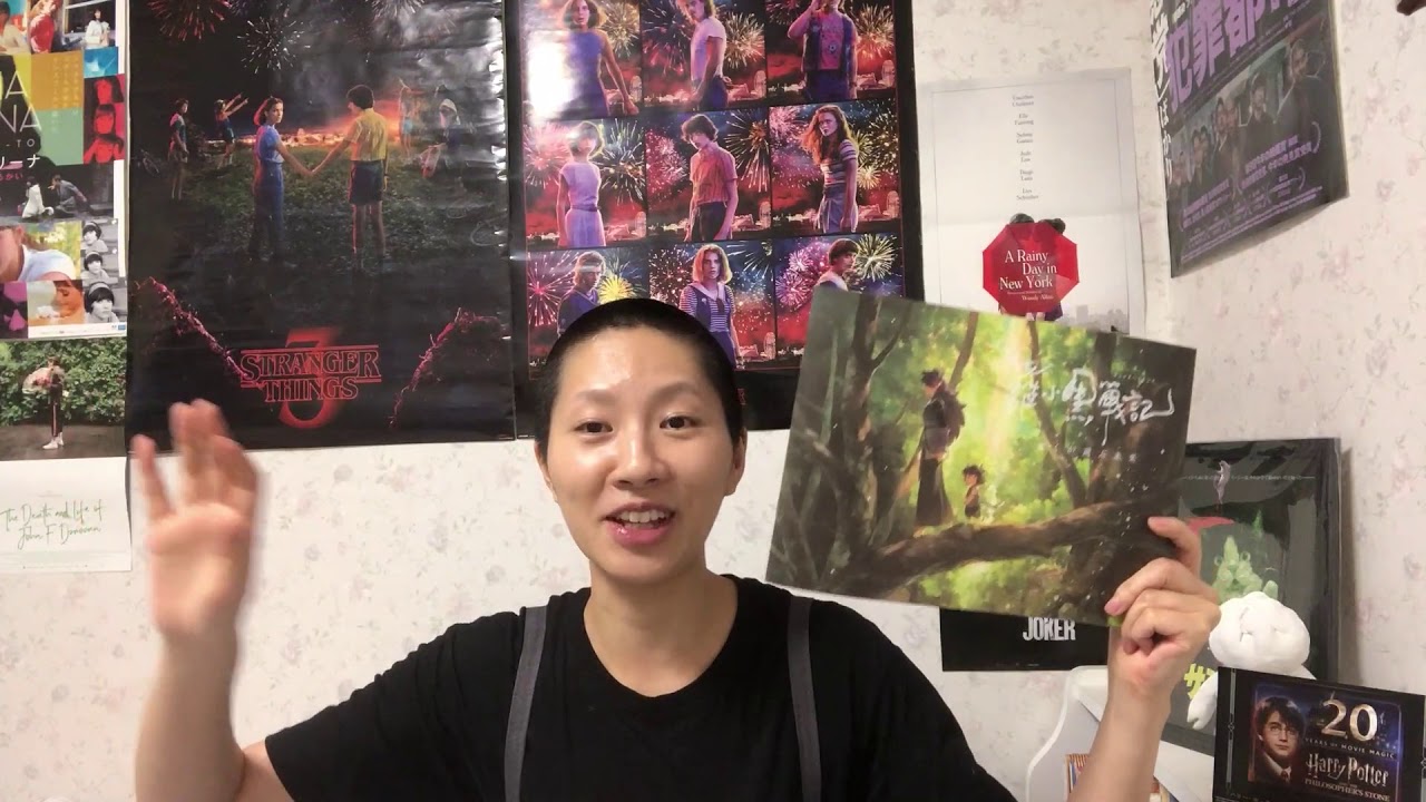 【ハイクオリティな中国アニメ】『羅小黒戦記 ぼくが選ぶ未来』【豪華声優】