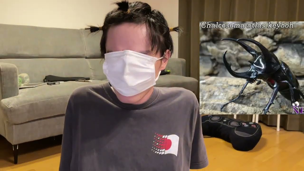 【実写】人生初前髪セルフ散髪したらカブトムシヘアーになり終わった