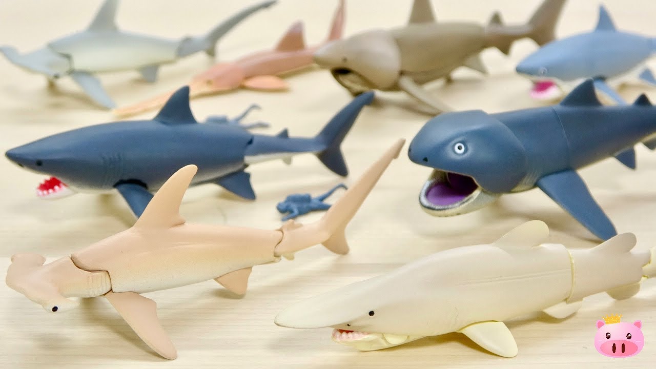 あそべる生物フィギュアシリーズ! THE SHARK2 ホホジロザメ, シュモクザメ, ミツクリザメ, メガマウス