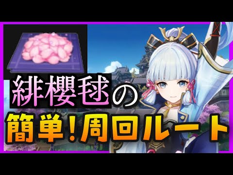 簡単【原神】桜(緋櫻毬)のおすすめ周回ルート、集め方【神里彩華の突破素材】入手場所マップGenshinImpactげんしん初心者無課金向け解説 稲妻入手方法取り方かみさとあやかさくら緋桜毬最強キャラ