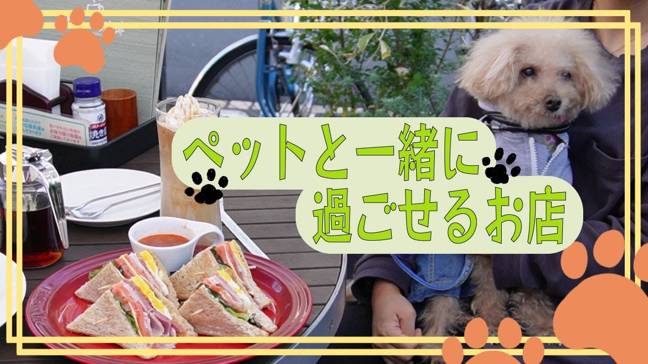 ペットと一緒に過ごせるお店🐾むさしの森珈琲、ジョナサンなど