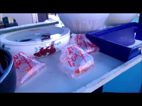 桐生散歩・買場紗綾市その2