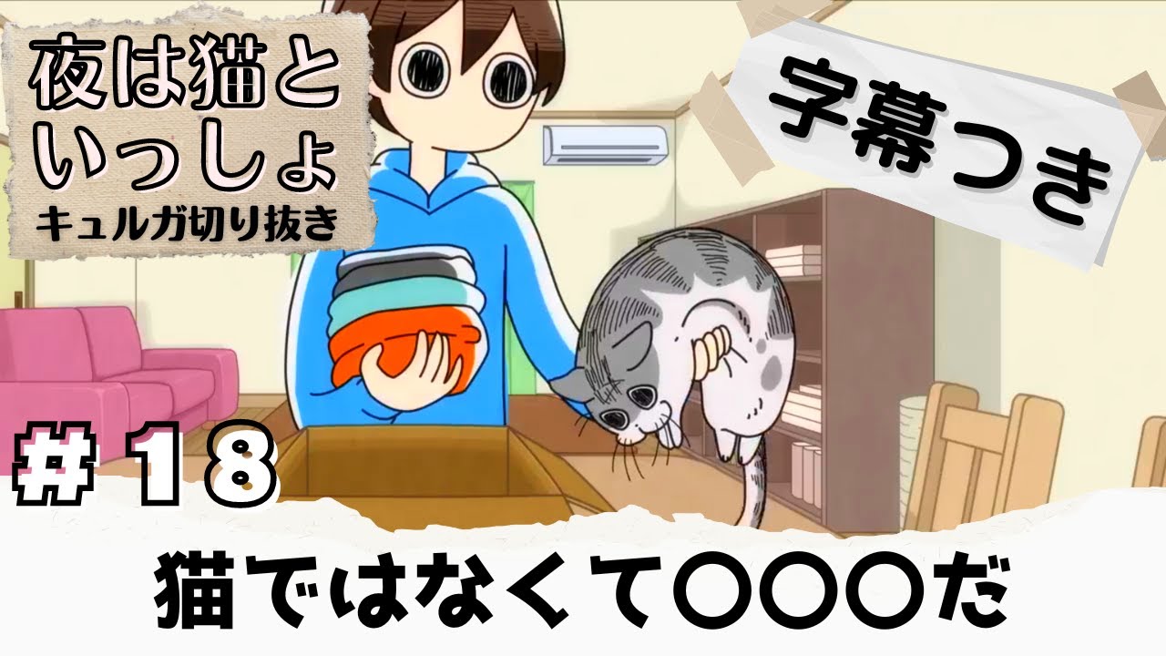 18.ダンボールは落ち着く場所【夜は猫といっしょ:キュルガ切り抜き(字幕付)】