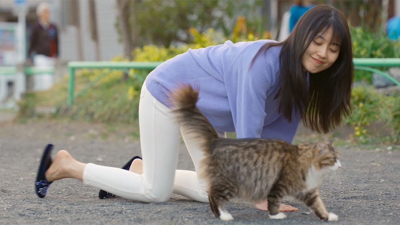 有村架純、元風俗嬢の主人公熱演 主題歌はくるり「愛の太陽」 Netflix映画「ちひろさん」予告編