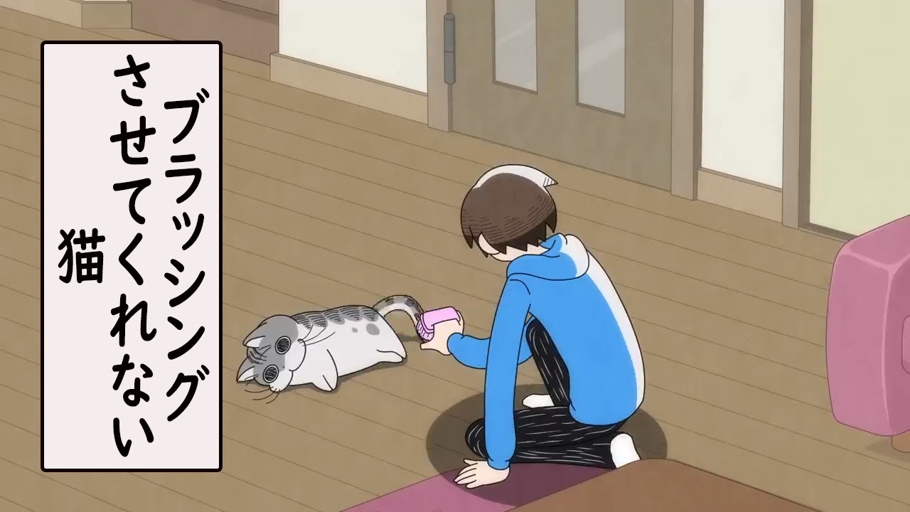 【あるある】ブラッシングをさせてくれない猫【夜は猫といっしょ】【切り抜き】
