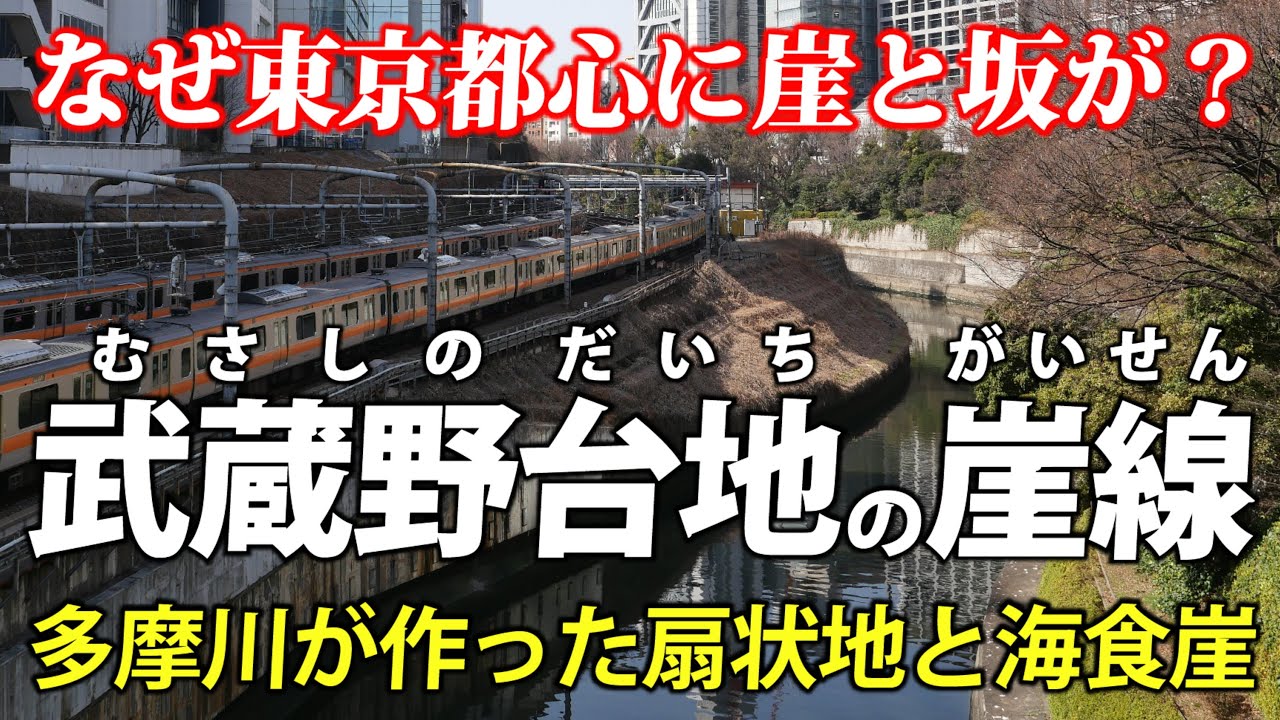 東京・武蔵野台地 | 都心の坂を見て回る! 海と川が削った海食崖