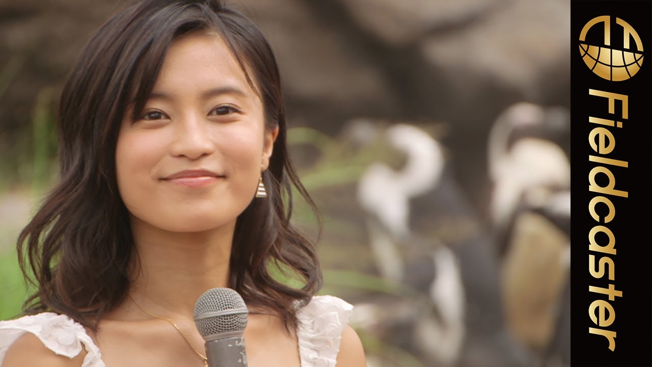 小島瑠璃子、新井美羽が夫婦円満のペンギンに「理想です」 世界初の『天空のペンギン』サンシャイン水族館