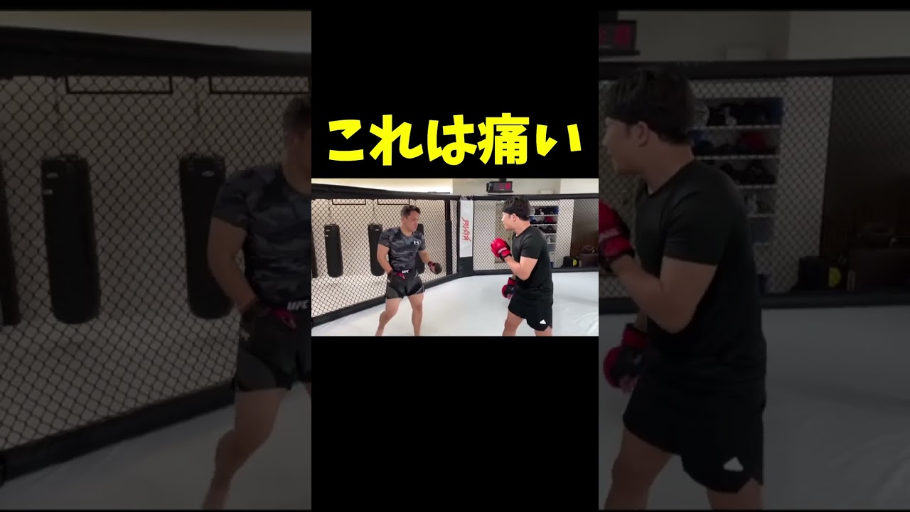 内臓をエグる朝倉未来の三日月蹴り