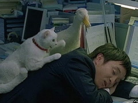 いいなCM アフラック 新EVER 宮﨑あおい 濱田岳 「新入社員」篇