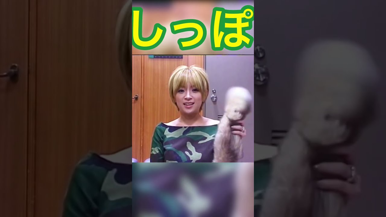 浜崎あゆみ しっぽ