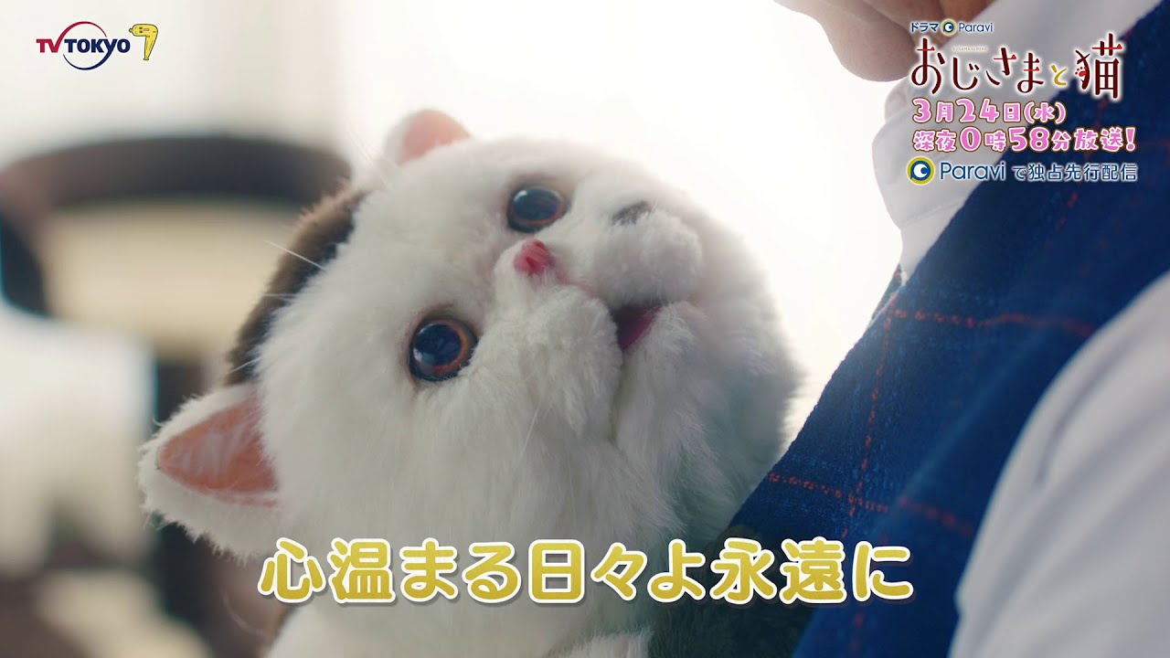 ドラマParavi おじさまと猫 第12話