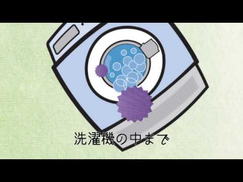 小林エミ カビだらけのブルース