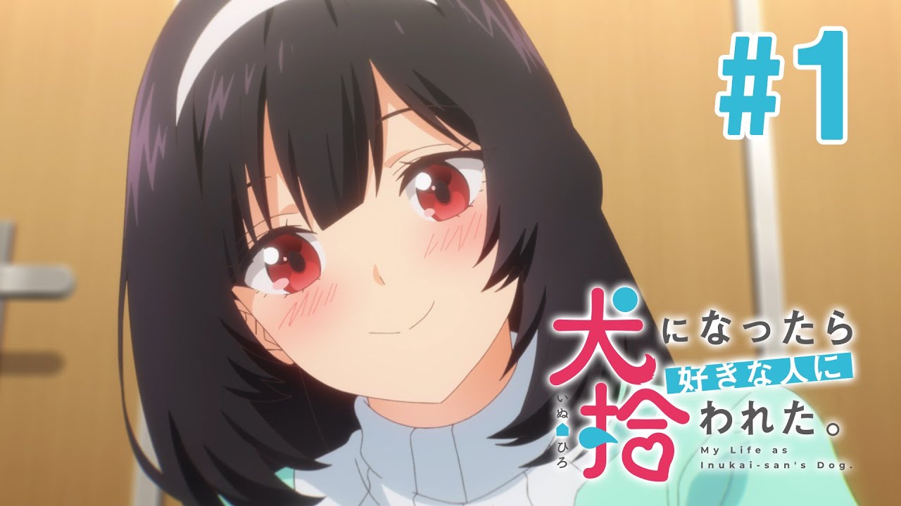 【1話】犬になったら好きな人に拾われた。 2023年5月11日(木)まで 全12話 期間限定イッキ見!【公式アニメ全話】