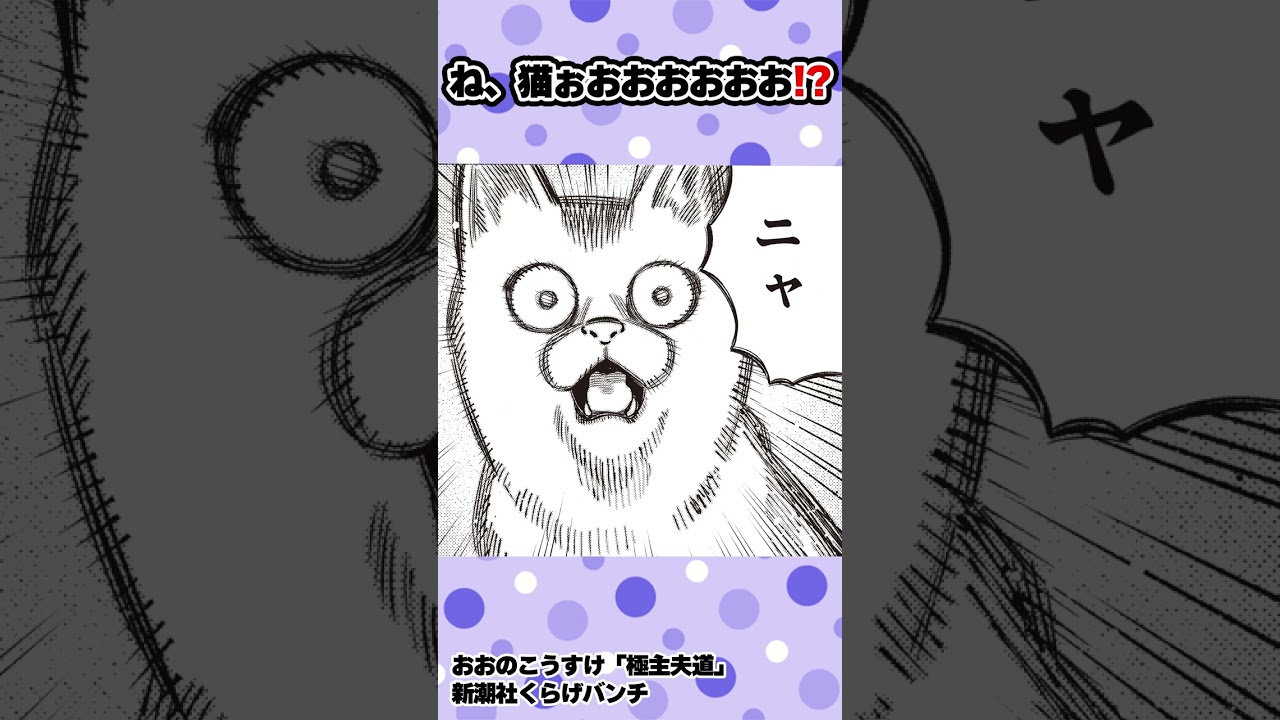 【漫画】猫ぉおおおおお!! #shorts #極主夫道 #6話 #不良 #猫 #ヤンキー#ギャグコメディ #新潮社 #くらげバンチ