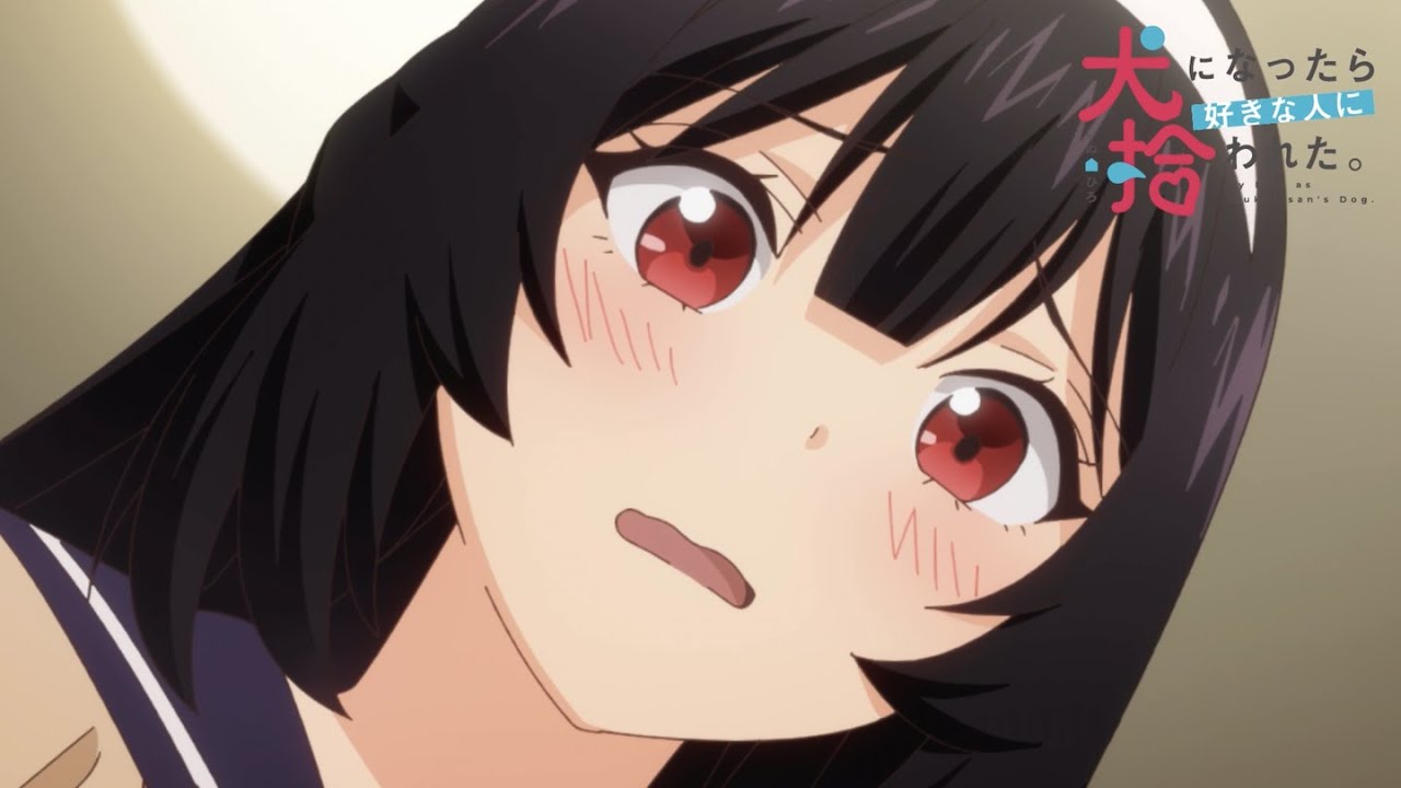 TVアニメ「犬になったら好きな人に拾われた。」第8話WEB次回予告(放送ver.)