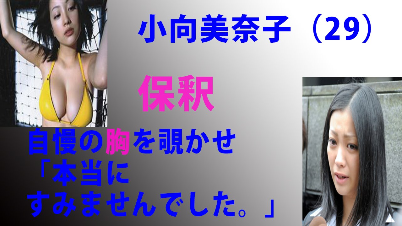 小向美奈子200万円で【保釈】豊満な胸を覗かせ非難の視線をかわす!!!