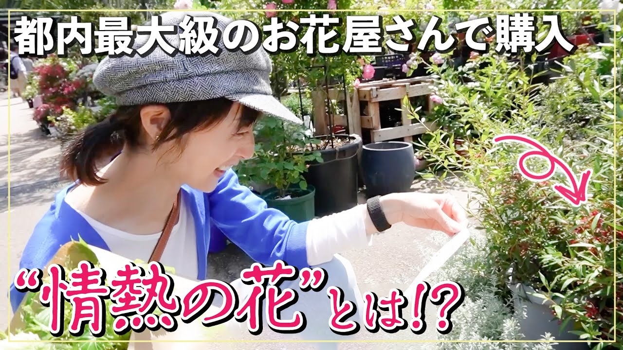 【都内最大級】思わず大興奮!?大好きな植物・園芸店を訪れて「情熱の花」を買いました【観葉・多肉・食虫植物】