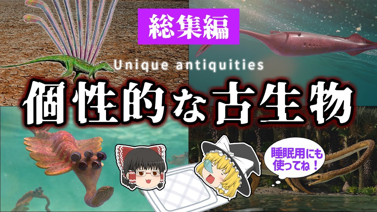 【睡眠用・ゆっくり解説】ユニークな古代生物特集! オパビニア/ターリーモンスター/タニストロフェウスなど【広告最初のみ 途中広告なし】